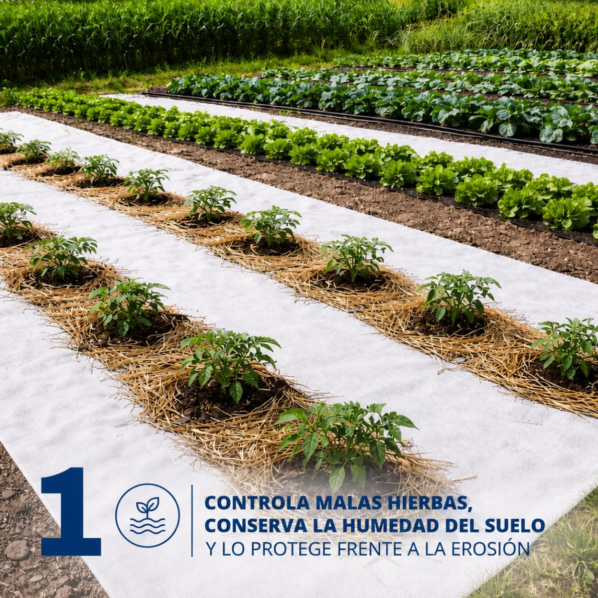 Geotextil 200g/m2 | Ideal para estanques| Protección Malas Hierbas |Alta Resistencia| Fácil Instalación | Flexible (5,60m x 2m)