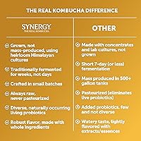 Vista 4 de SYNERGY The Real Kombucha - Piña dorada - Botella de 16 onzas líquidas - Bebida probiótica cruda para la salud intestinal y el apoyo inmunológico