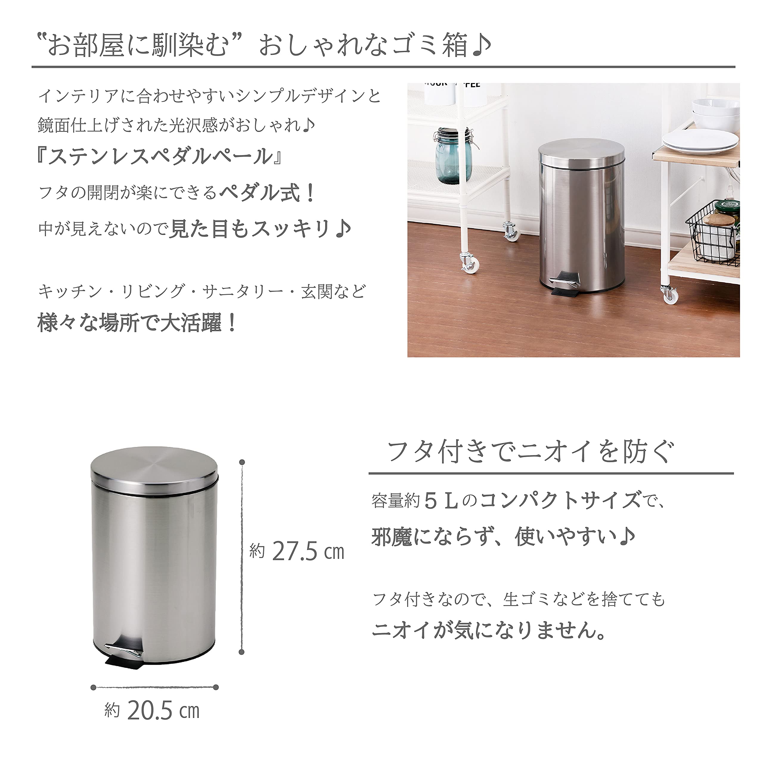 Amazon.co.jp: 武田CORP.【ダストボックス】 ステンレスペダルペール