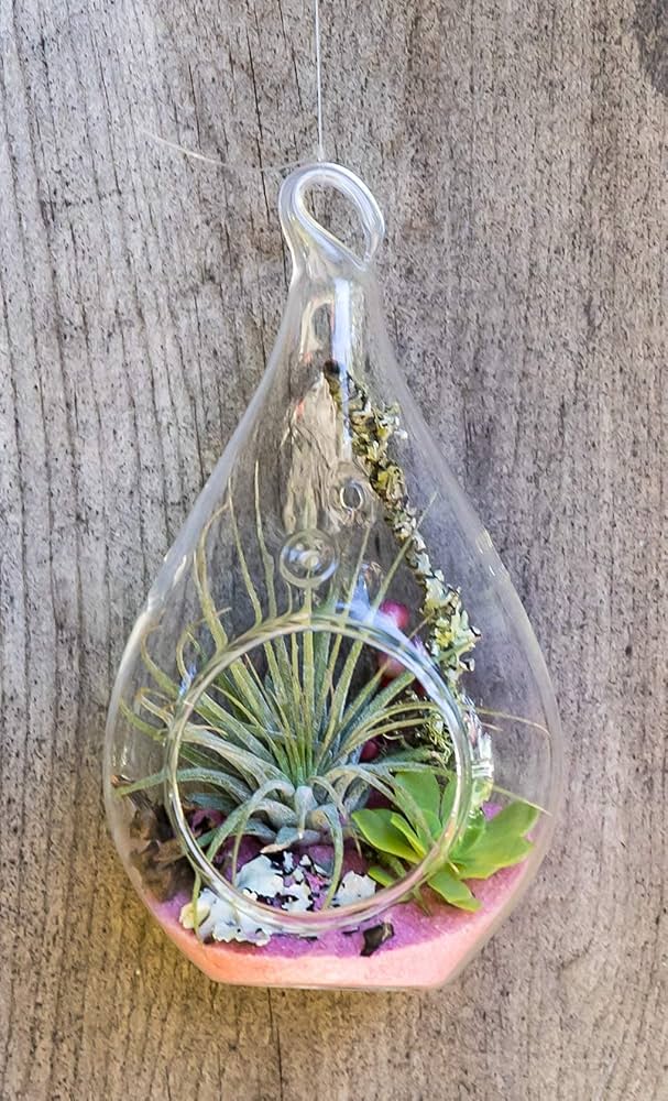 Rbckvxz Home Decor,Glass Bubble Flower Base Vase Glass Planter Airplant,Home Essentials, Adult Unisex, Size: 7.09 x 3.15 x 3.15