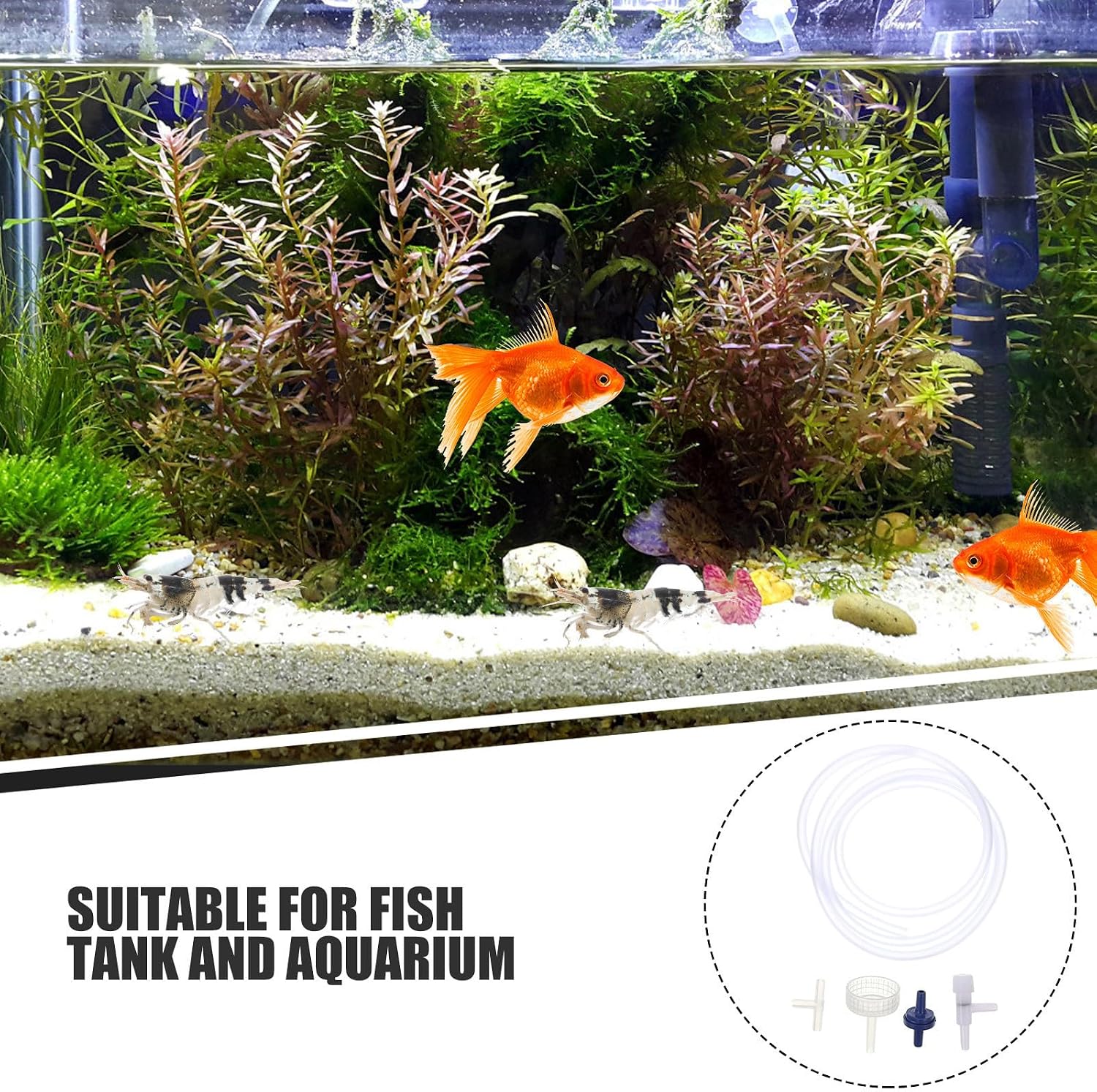 5 Set Brine Shrimp Incubator Kit for Aquariums Plastic Artemia Egg Hatching Tools with Assembly Compact Design Easy to Clean Shrimp Hatchery Set for Continuous Breeding