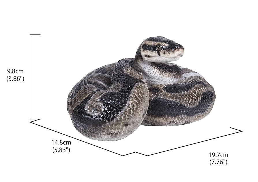 洋書　PYTHON REGIUS Python regius: Atlas of Colour Morphs Keeping and Breeding