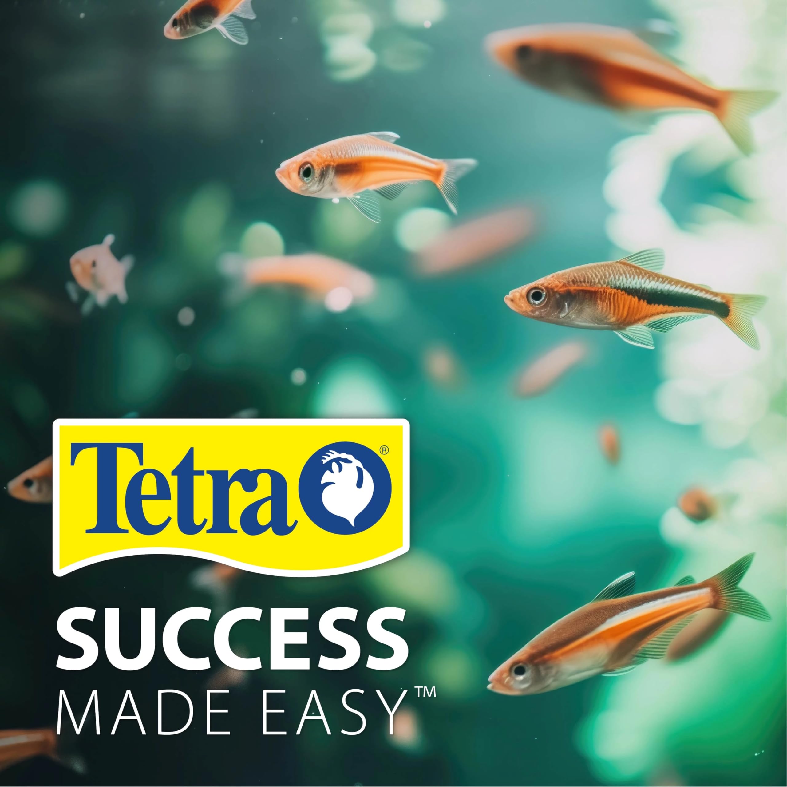 Tetra Acuario Kit, 20-Gallon