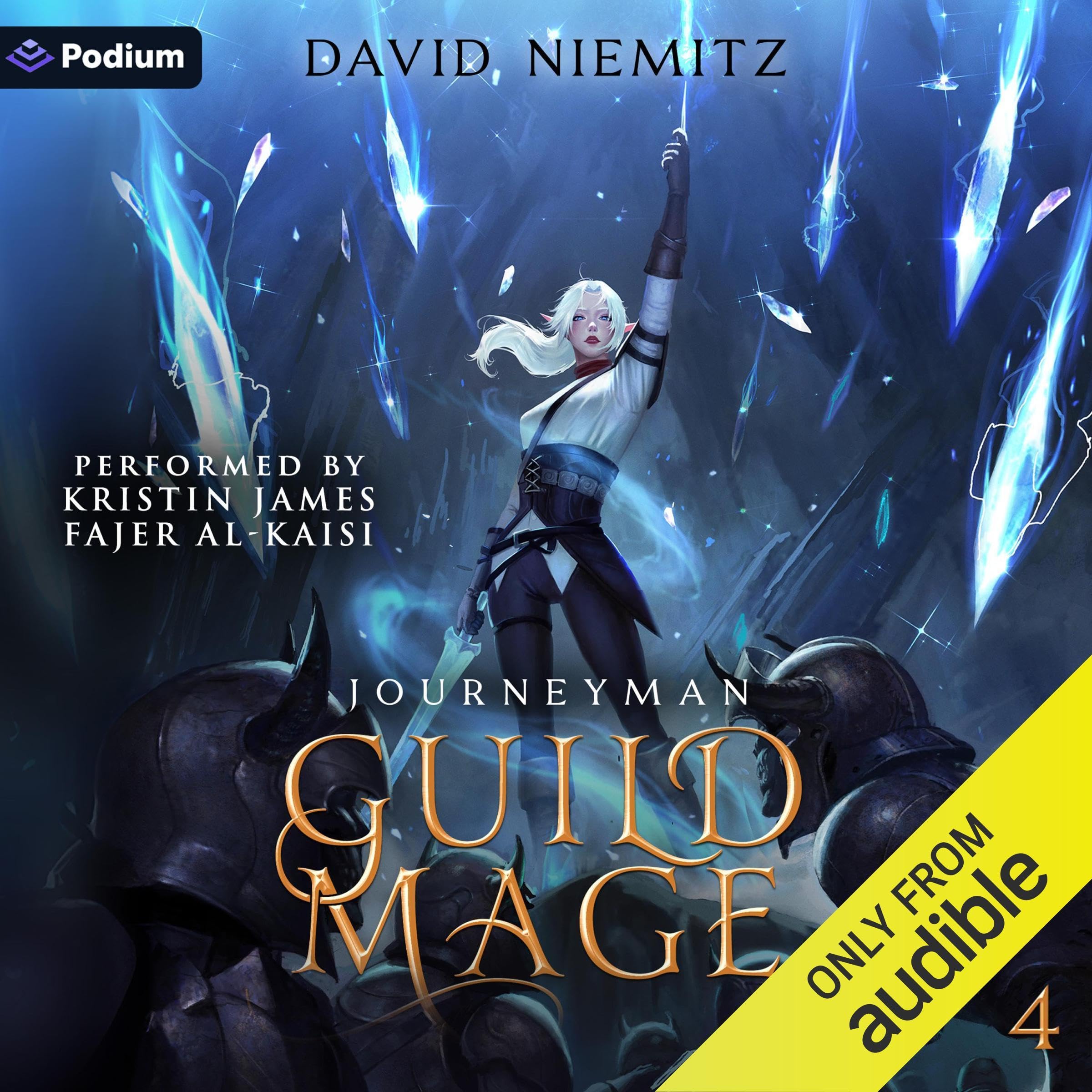 Cover art for Guild Mage: Journeyman