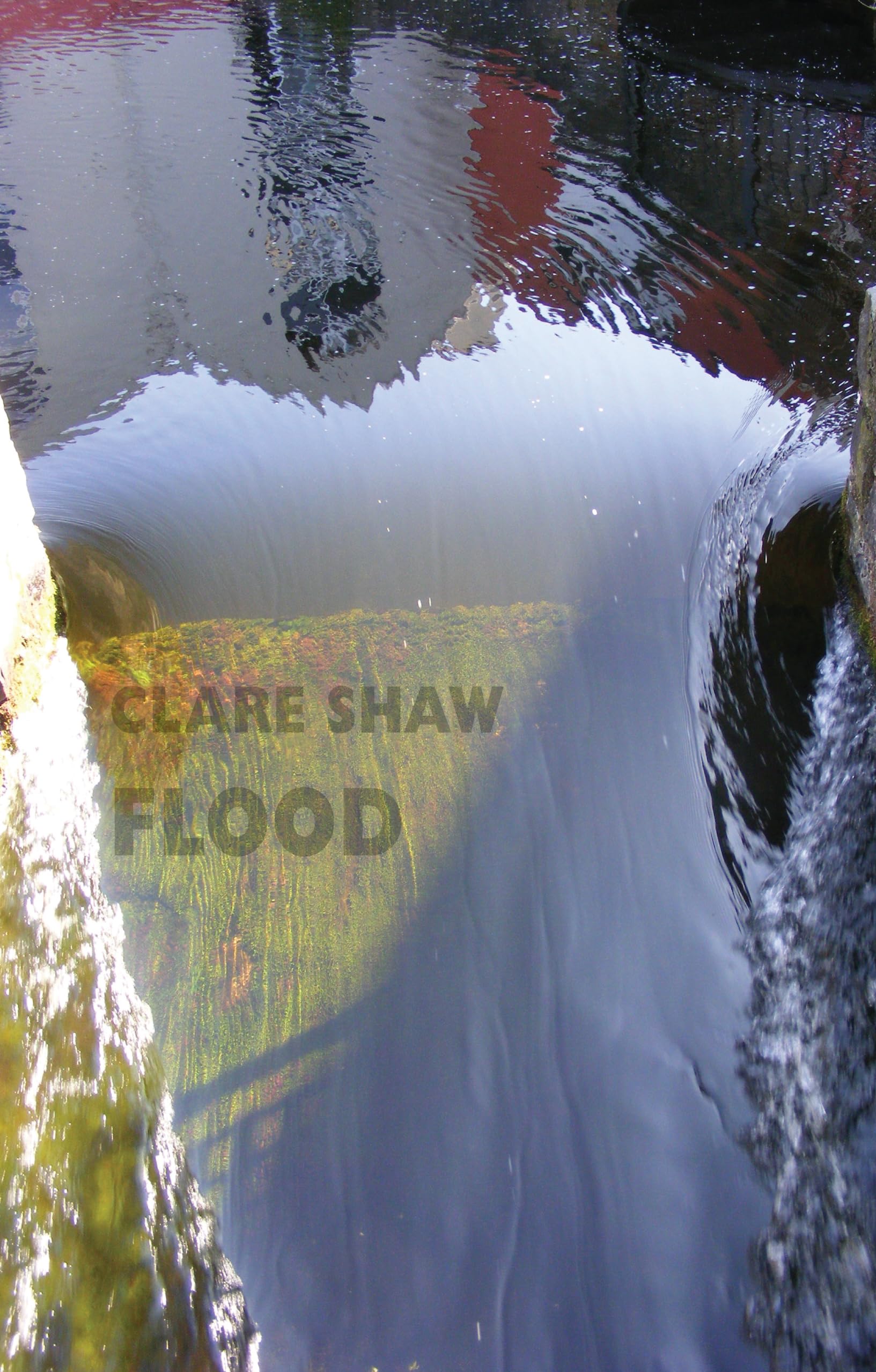 Flood by Clare Shaw (Paperback Book)