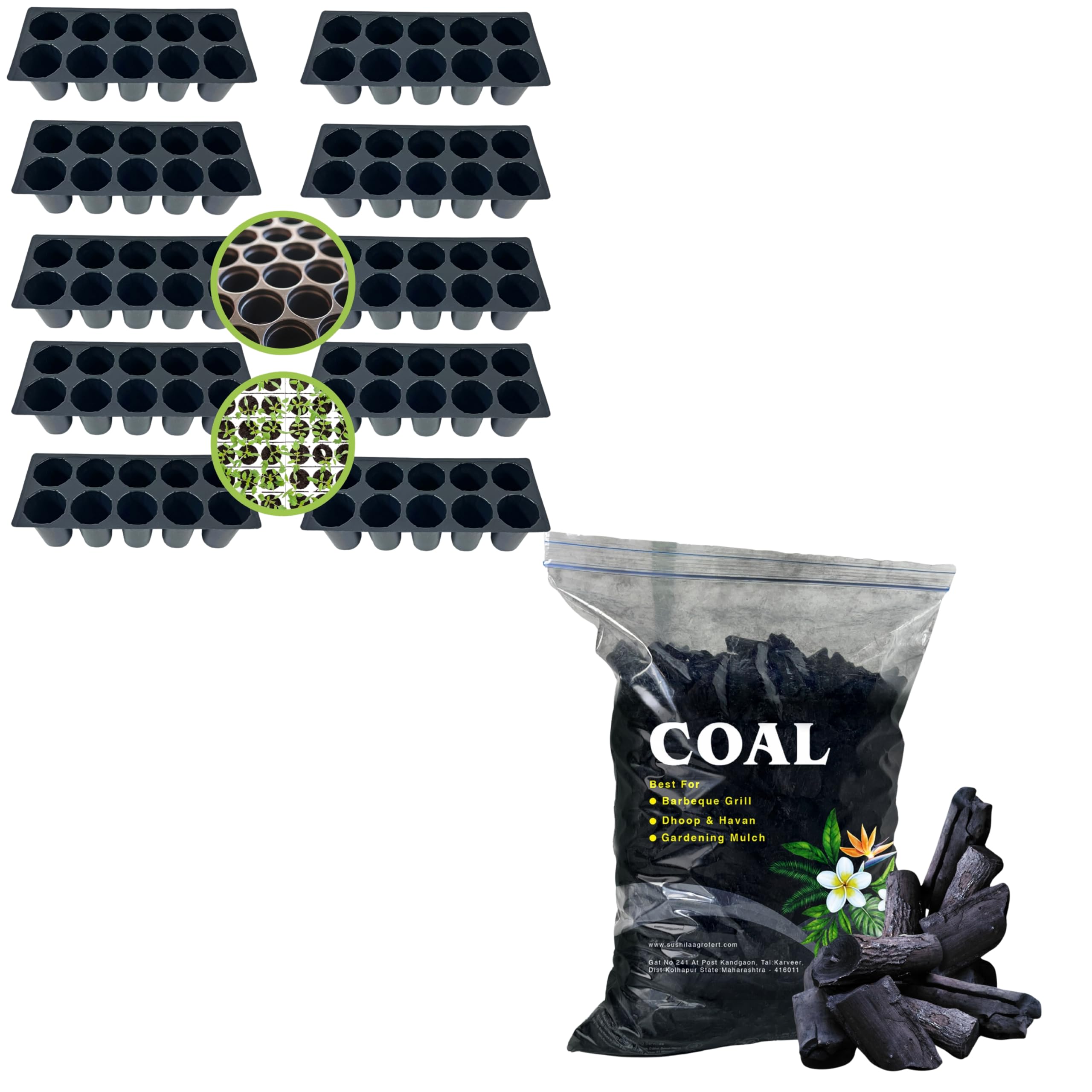Plastic 10 Cavity Big Size Seed Germination Tray... Black Premium Coal 1kg - Suitable for Barbecue, Pooja Dhoop, Havan, and Gardening Use-image-43