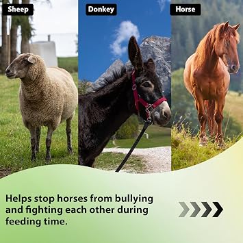 Heavy Duty Durable Waterproof Horse Feed Bag with Adjustable Strap