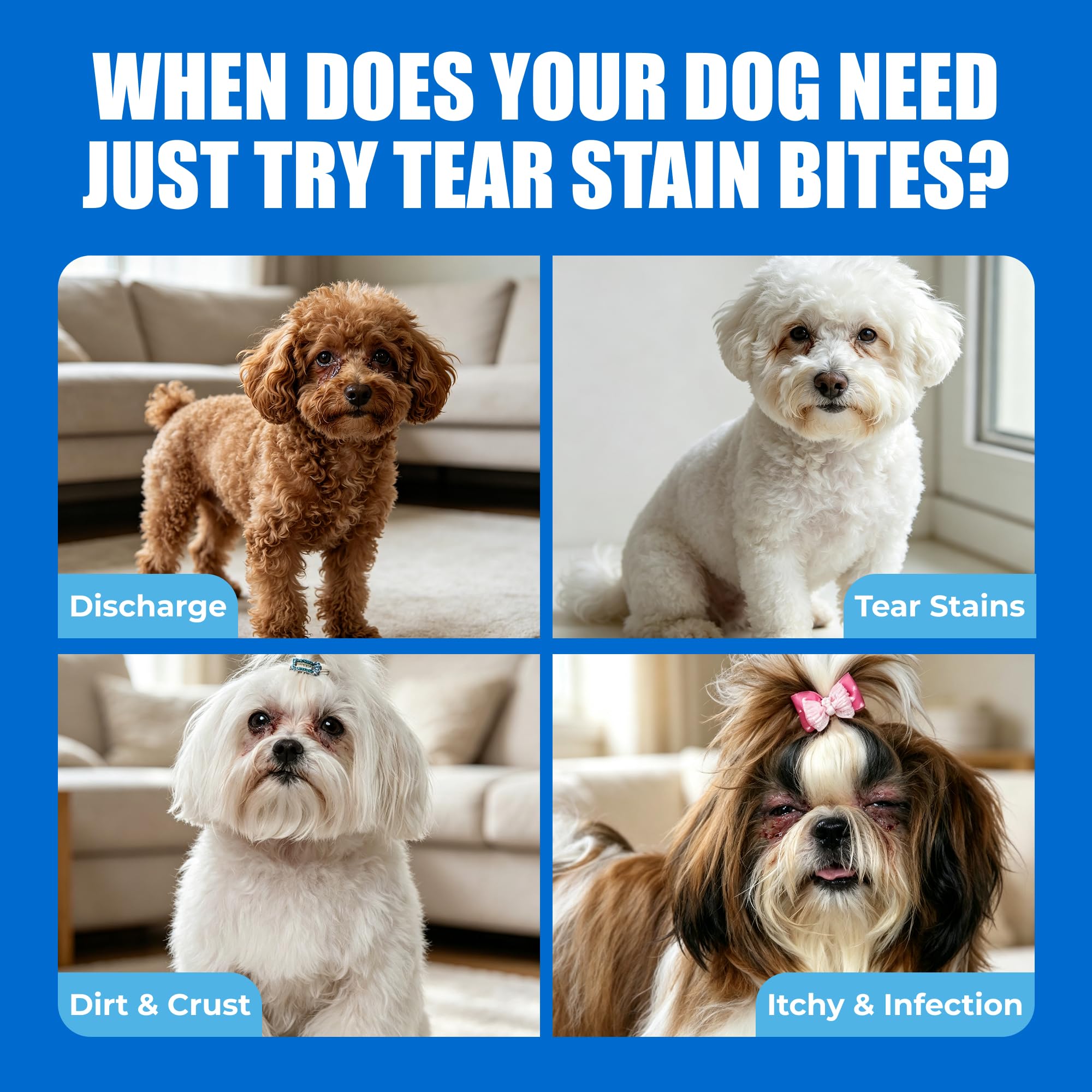 Dog Tear Stain Bites with Cranberry Lutein for Eye Health 10.58oz — Amazon image 2