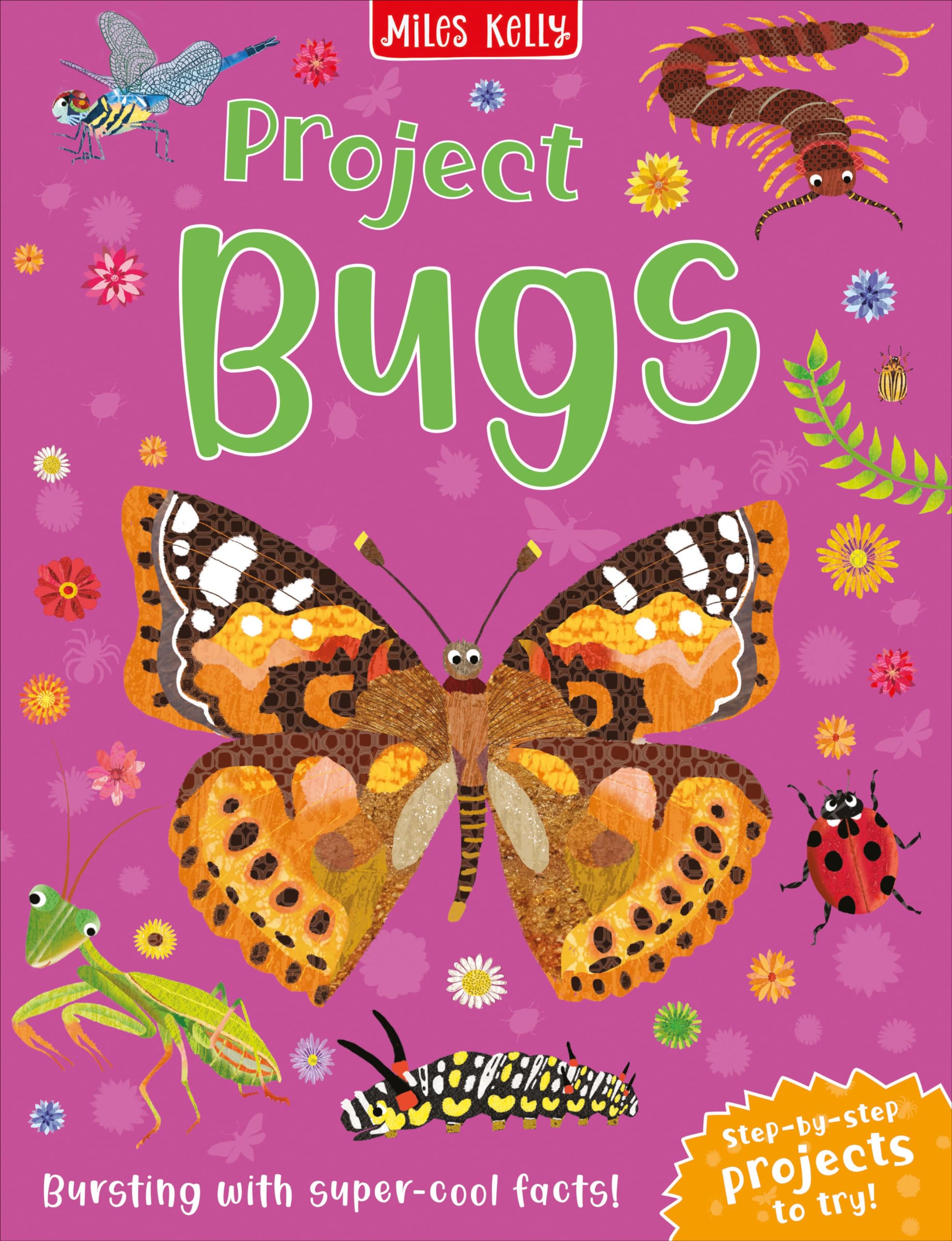 Project Bugs by Camilla de la Bedoyere PAPERBACK 9781789894615