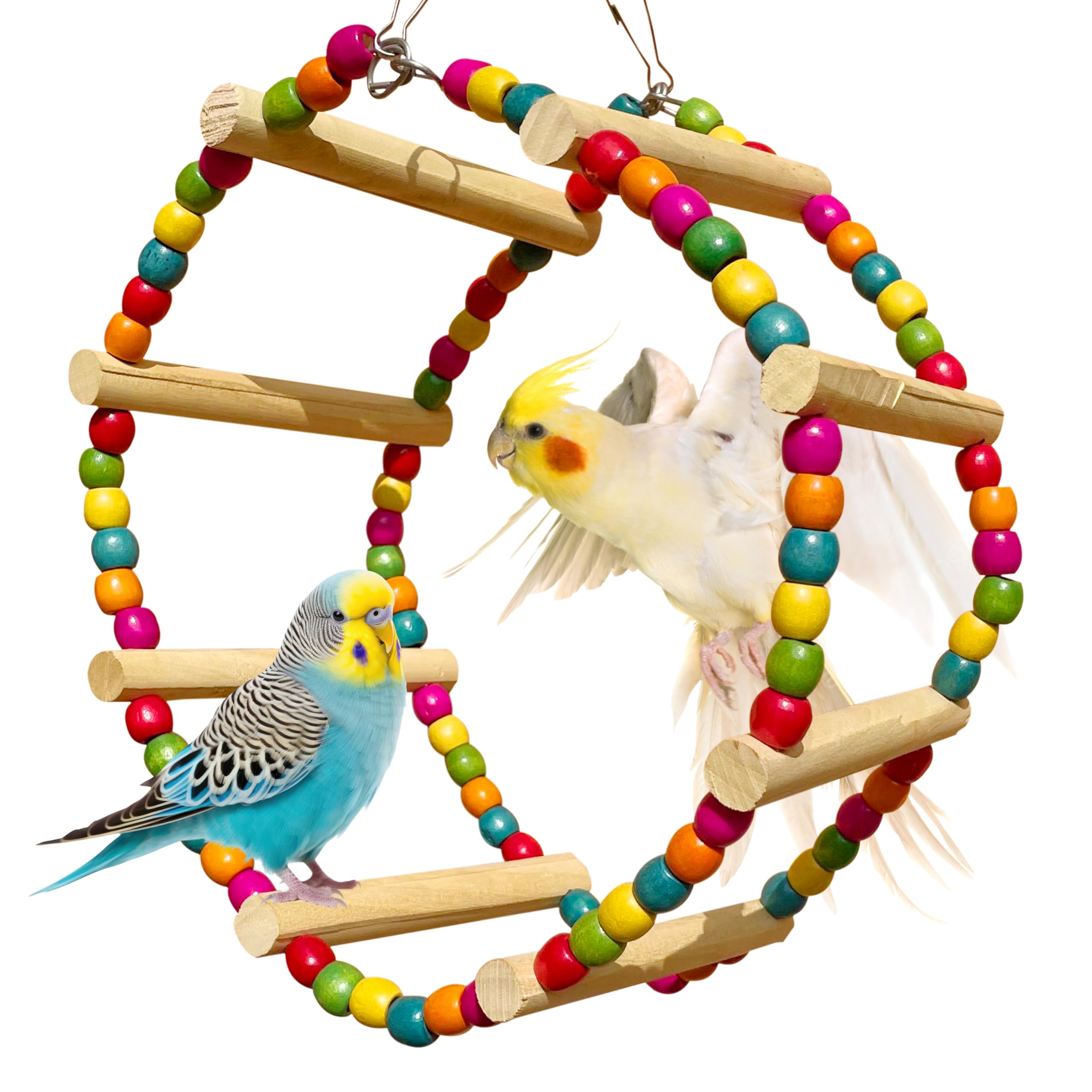 Congo® 25X13cm Colourful Giant Round Swing Wheel Cage Toy for Finches, Budgies, Cockatiels Lovebirds, Conure and Other Birds (B0CR1FPG3Y) Amazon Price History, Amazon Price Tracker