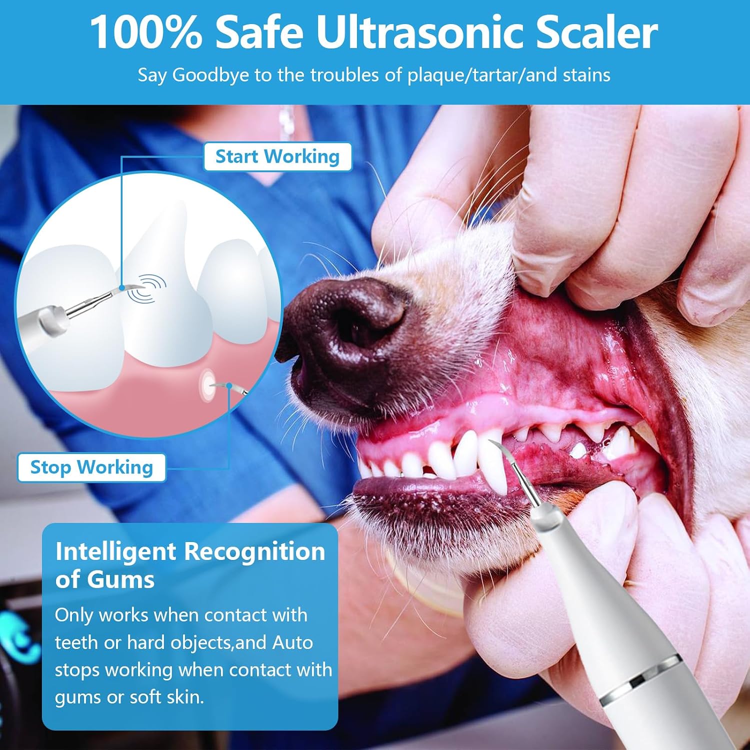 SUNSHNO Dog Plaque Remover for Teeth,Pet Tooth Brushing Kit,5 Modes Pet Ultrasonic Tooth Cleaner, Dental Tools to Remove Plaque and Tartar, Safe for Dog and Cat, White
