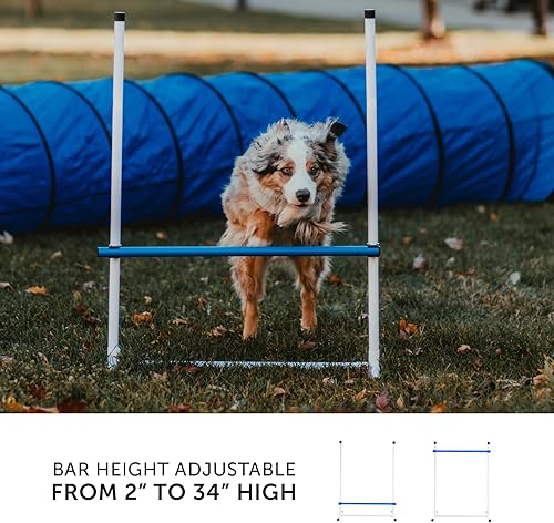 Miniatura 2 de Better Sporting Dogs Juego completo de agilidad de arranque para perros kit de agilidad de 5 piezas para perros salto de agilidad salto de