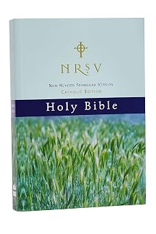 NRSV, Catholic Edition Bible, Paperback, Hillside Scenic Holy Bible