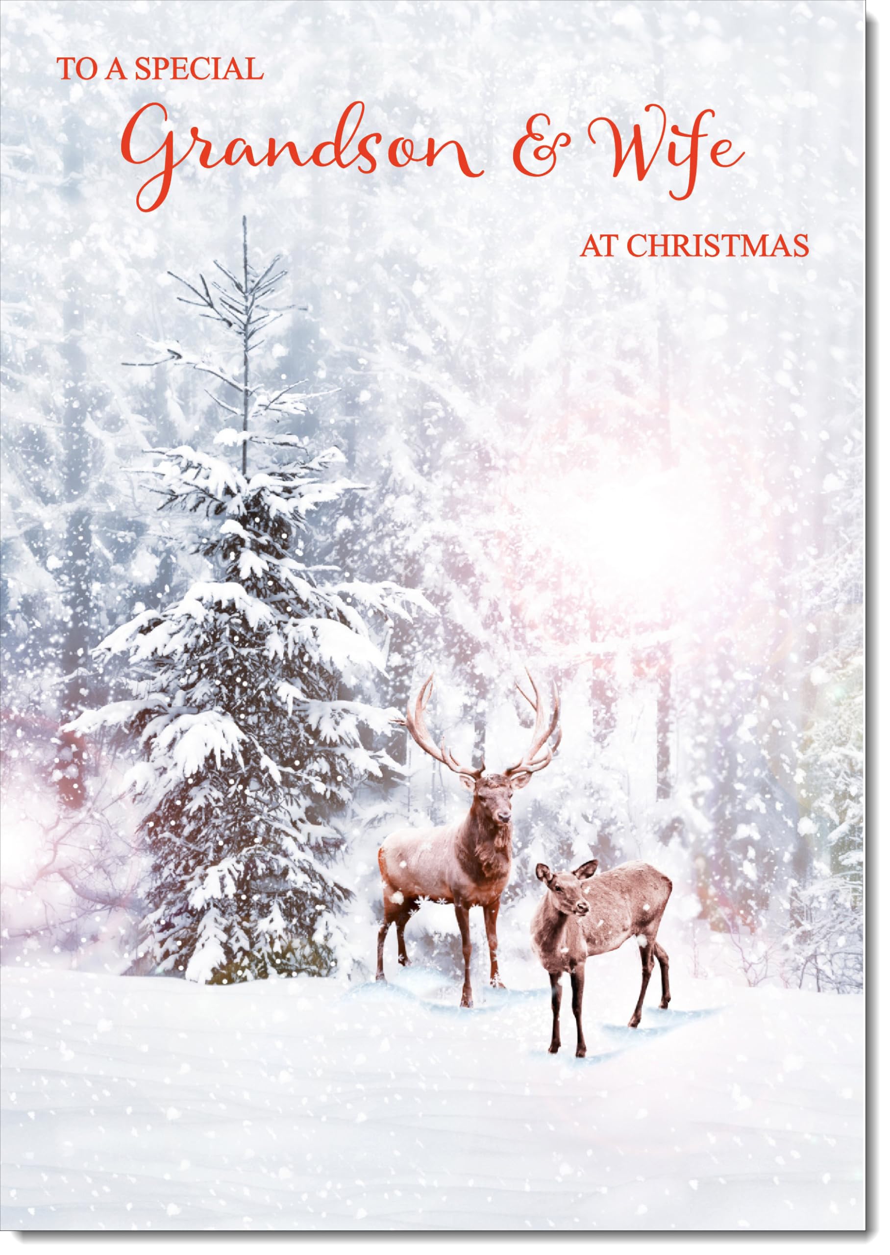 doodlecards Grandson and Wife Christmas Card Deers in Forest Large A4 Size Christmas Card for Grandson & Wife with Plain Envelope