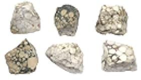 EISCO 6PK Raw Conglomerate, Sedimentary Rock Specimens - Approx. 1