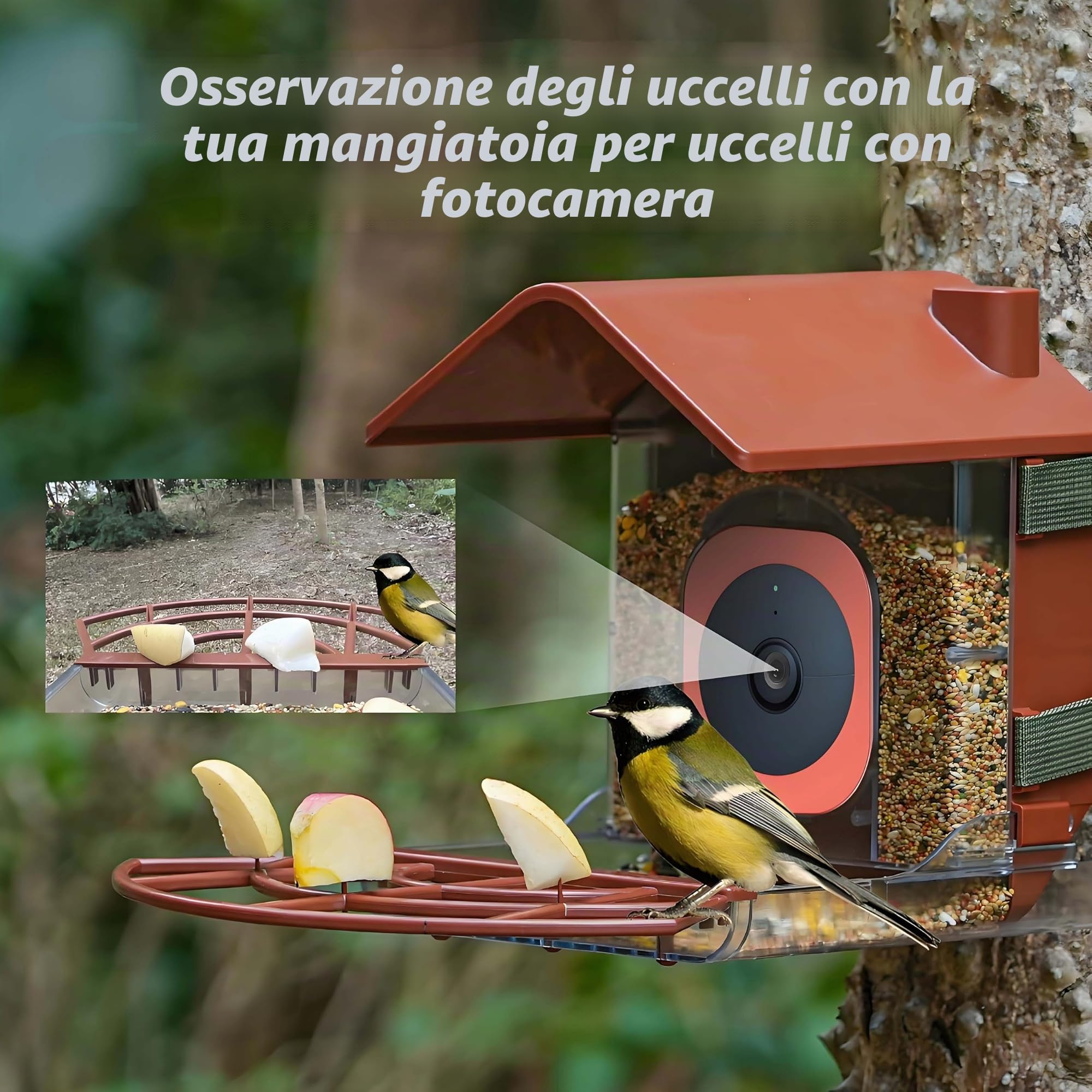 Mangiatoia per uccelli con telecamera per esterni, compatibile con Google Nest Cam Mount resistente alle intemperie, grande capacità 0,7 kg, stazione di monitoraggio della fauna selvatica