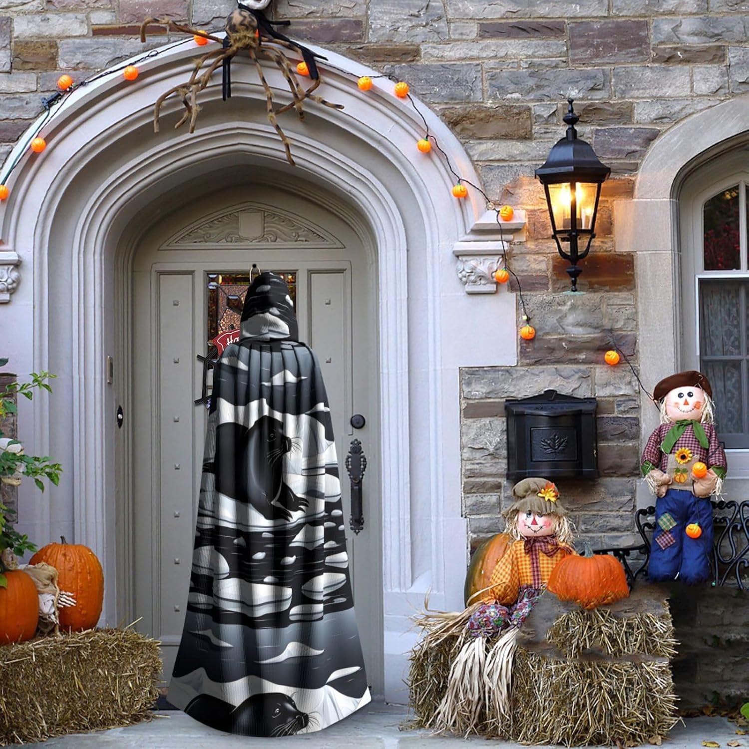 Seals On Ice Men Women Halloween Role Play Party Decoration Hooded Poncho Black