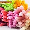 Product Photo 4