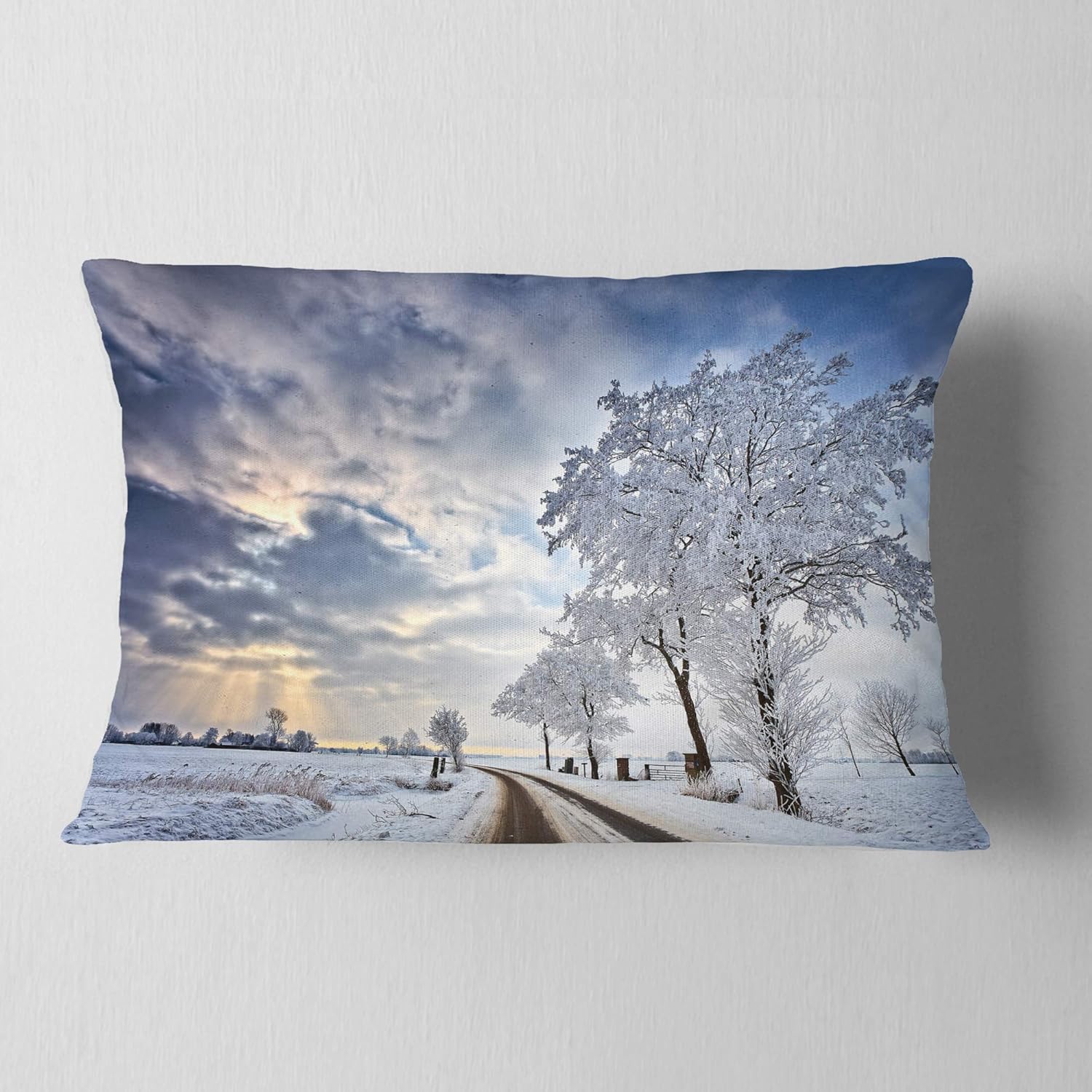 CU14822 Pillow Cushion, 12x20, White White 12x20