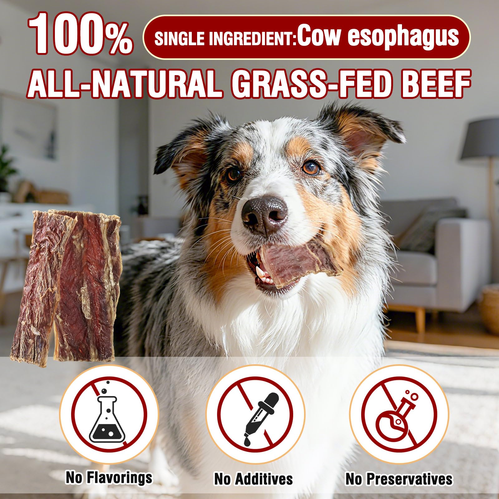 Friandises pour Chiens à Base d'œsophage de bœuf, friandises à mâcher saines, entièrement Naturelles et à ingrédient Unique pour Chiens, Riches en protéines et Longue durée,80G (80 G)