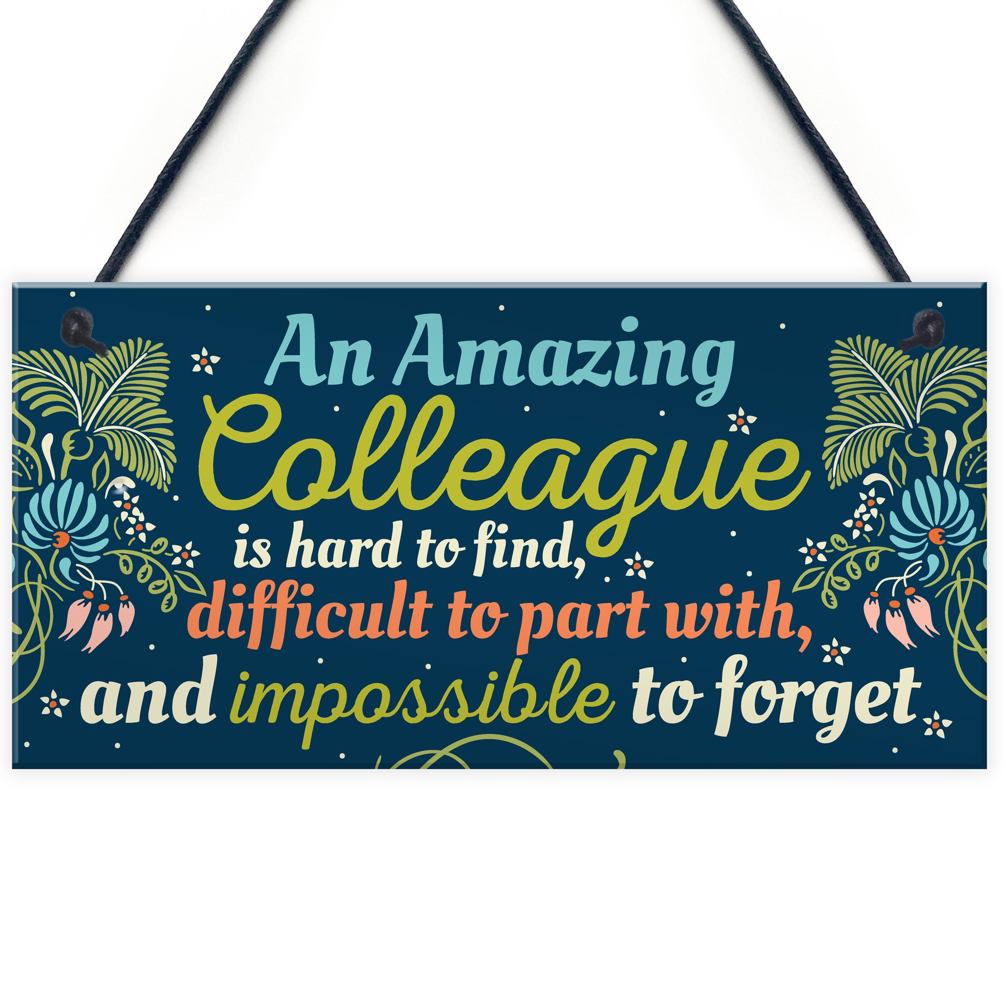Red Ocean Amazing Colleague Gift Hanging Plaque Friendship Sign Work Thank You Leaving Present Gift For Him Her