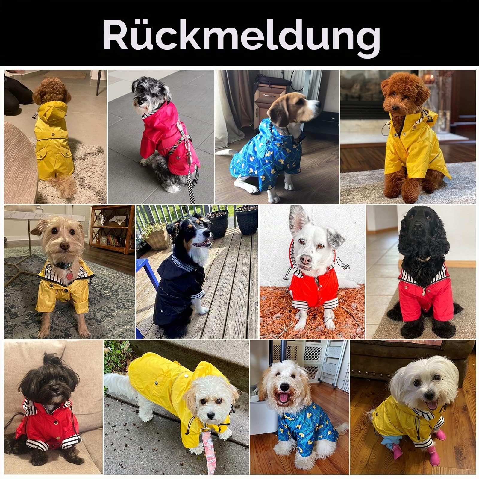 MOREZI Hunderegenmantel, mit Reißverschluss und reflektierenden Knöpfen, Regen-/wasserdicht, Verstellbarer Schultergurt, abnehmbare Kapuze, hält den Hund sauber und ordentlich-Gelb-L