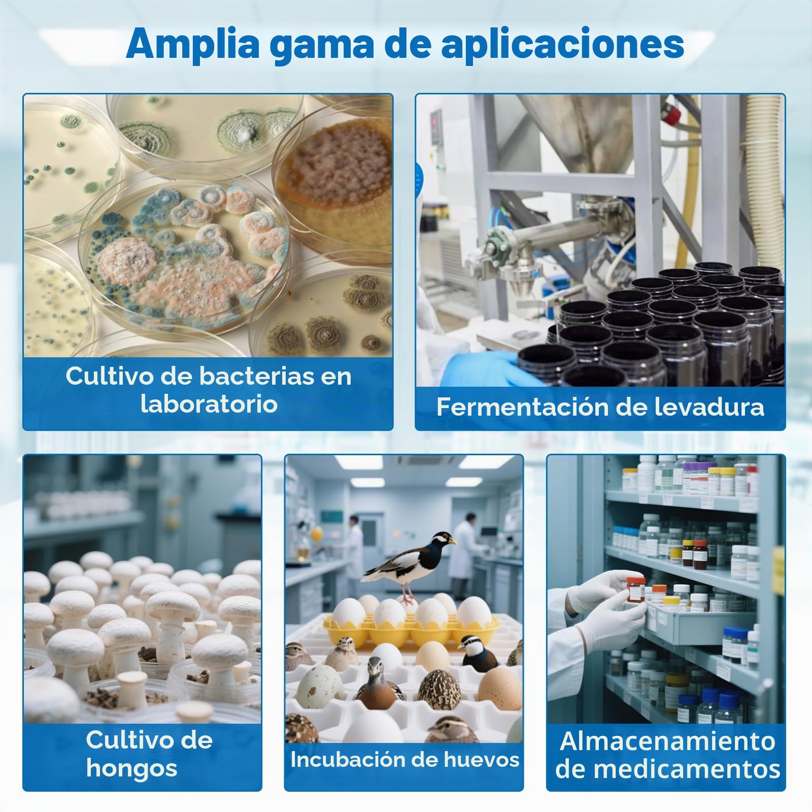 Incubadora de 10 L, 2-65℃ armario termostático para uso general de laboratorio, placas de Petri, semillas, 12 V/220-240 V