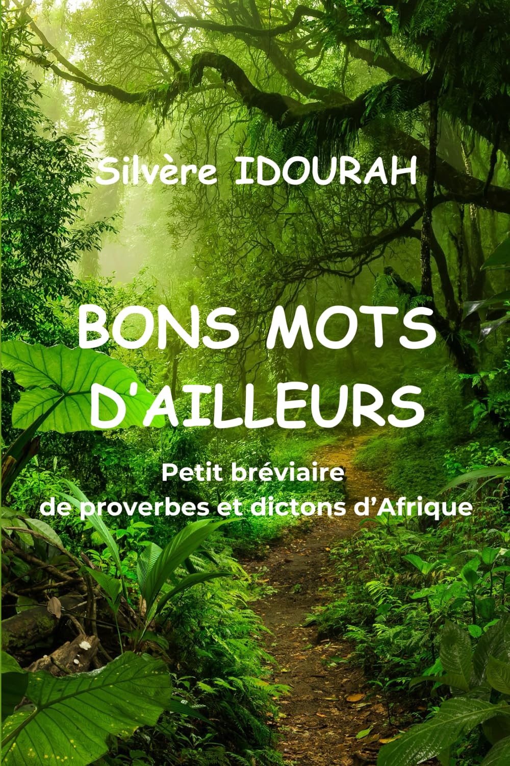 Bons mots d'ailleurs: Petit bréviaire de proverbes et dictons d’Afrique