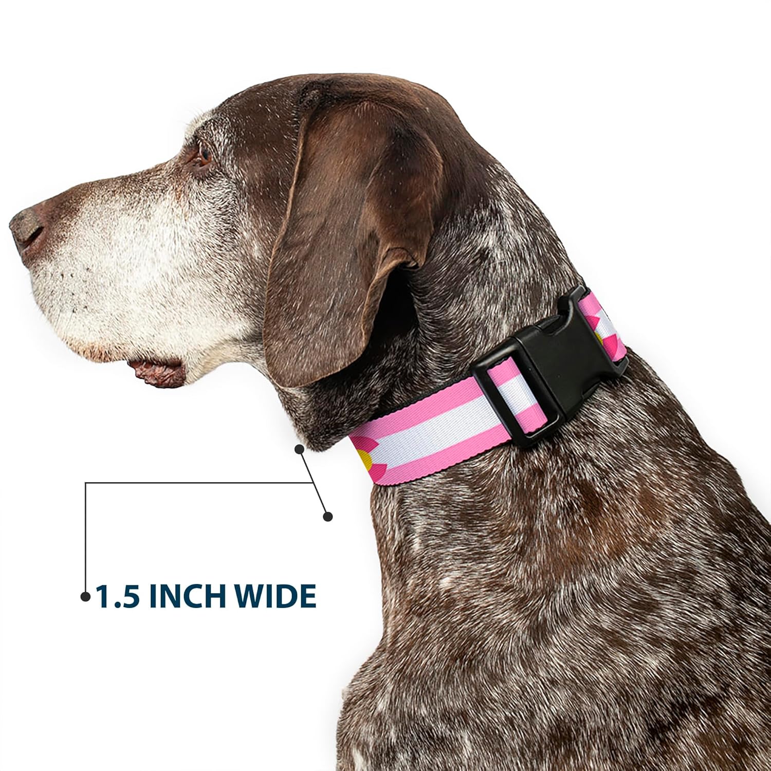 Buckle-Down PC-W35526-WM Plastic Clip Collar, 1.5" Wide-Fits 16-23" Neck-Medium