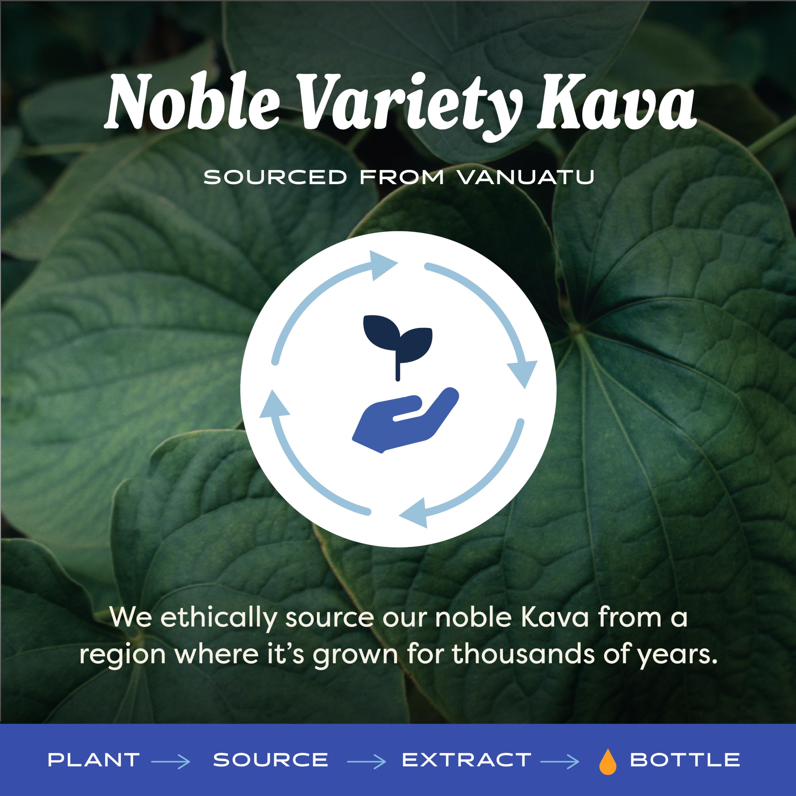 Herb Pharm Kava Root Liquid Extract: Reduces Stress, Relaxing, Vegan, Non-GMO Kava Kava Tincture for Calm & Relaxed Mind, Made with Noble Kava, Gluten-Free, Up to 3 Month Supply, 4 oz — Amazon image 5