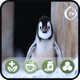 天気予報とリラックスできる音楽付