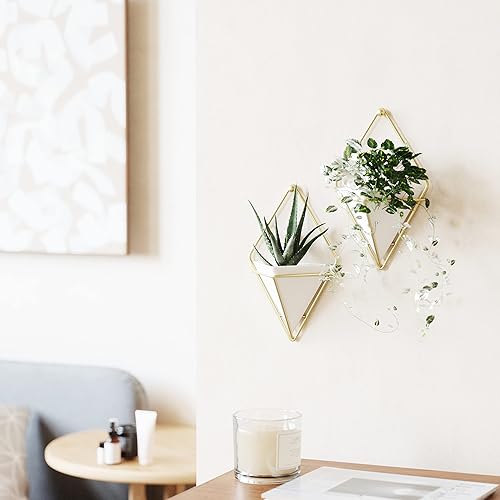 Miniatura 2 de Umbra Trigg  Maceta colgante y recipiente geométrico para decoración de pared ideal para plantas suculentas plantas de aire mini cactus plantas