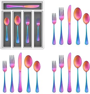 20~Piece Rainbow Silverware Set with Tray  E~far Stainless Steel Flatware Cutler - Compare price