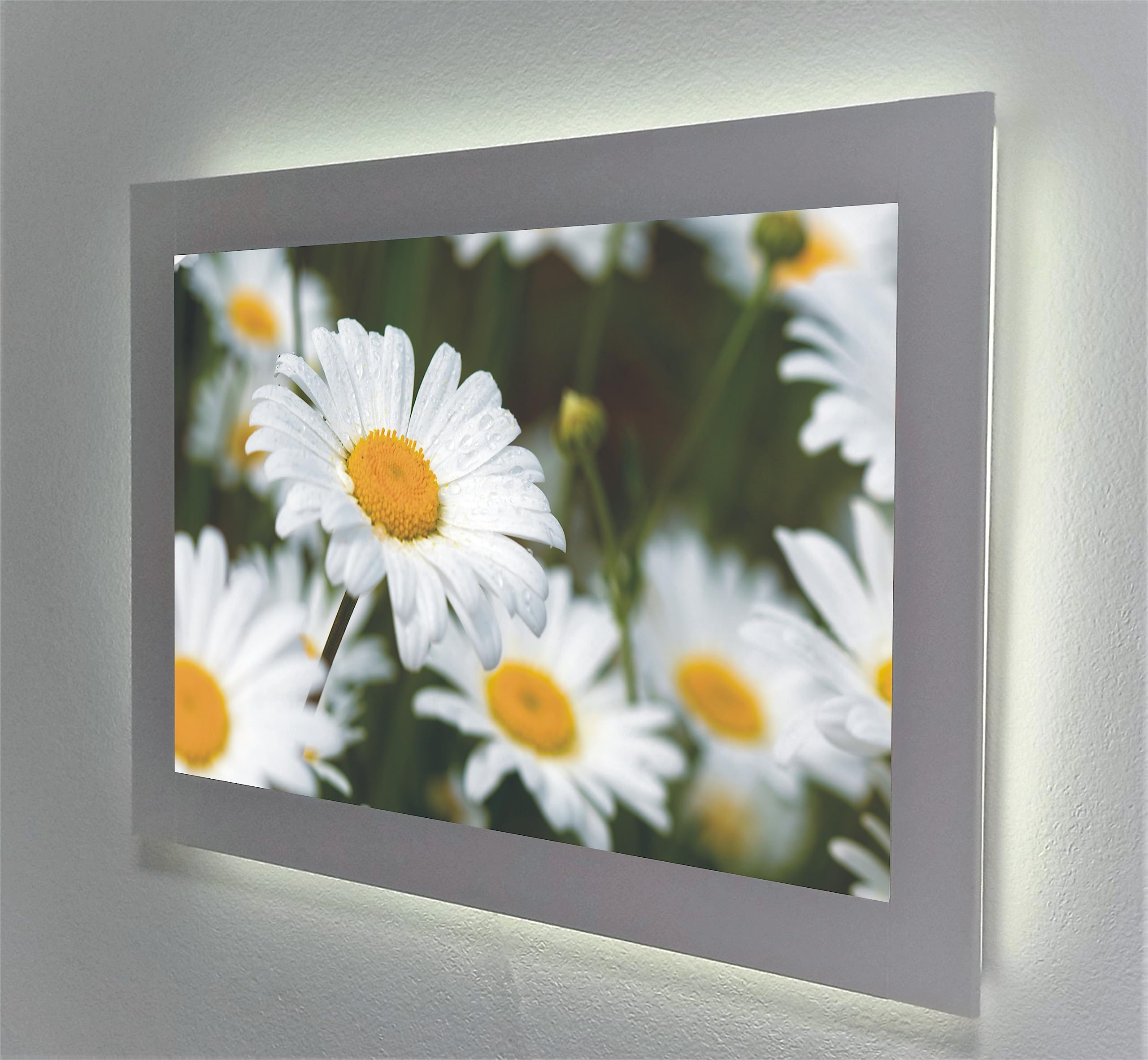 Tableau rétroéclairé fleurs marguerites cadre lumineux mural salon LED