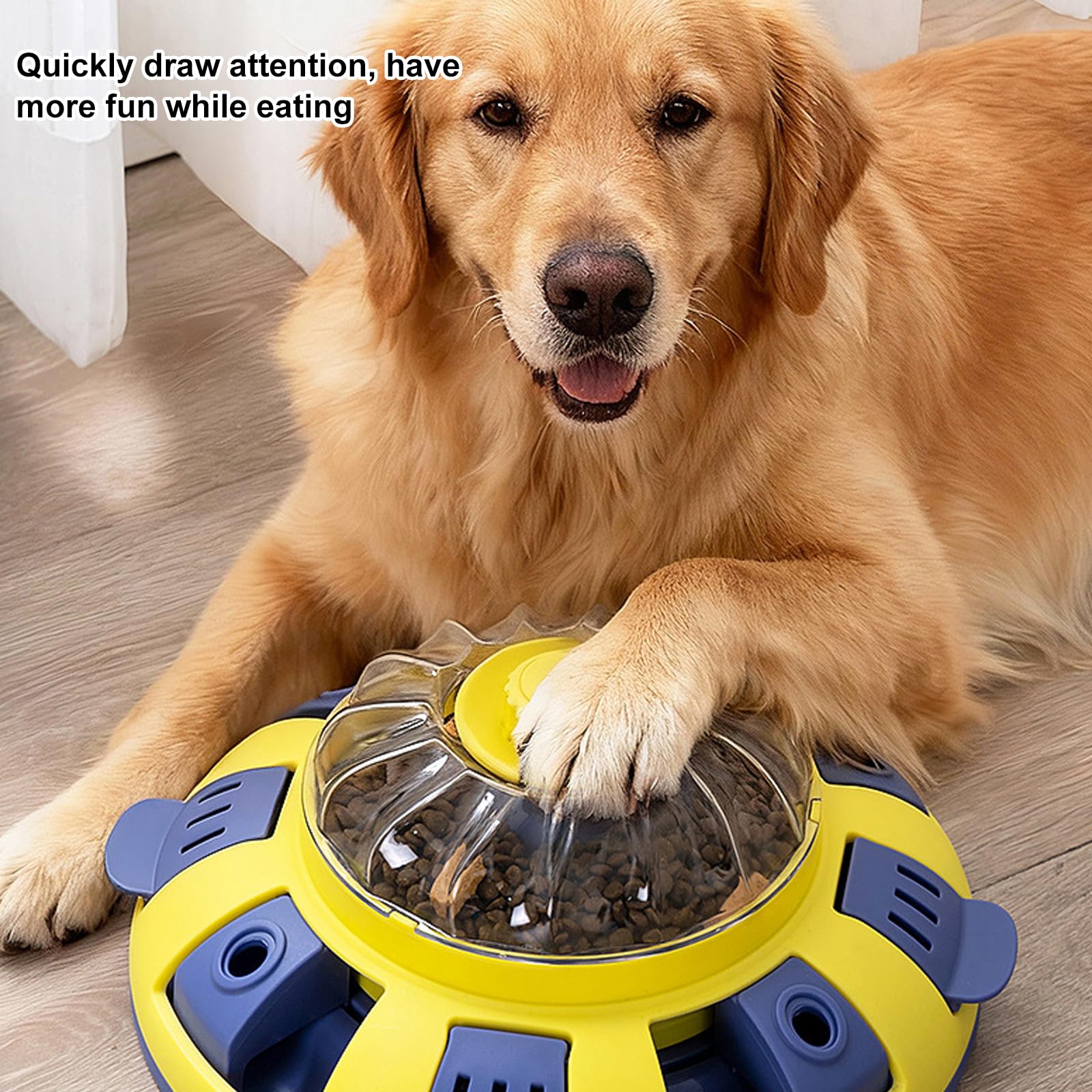 Jouet intelligent pour chien avec espace de récompense visible pour promouvoir les habitudes et les activités de réflexion