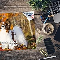 Vista 409 de Razas de Perros 2017