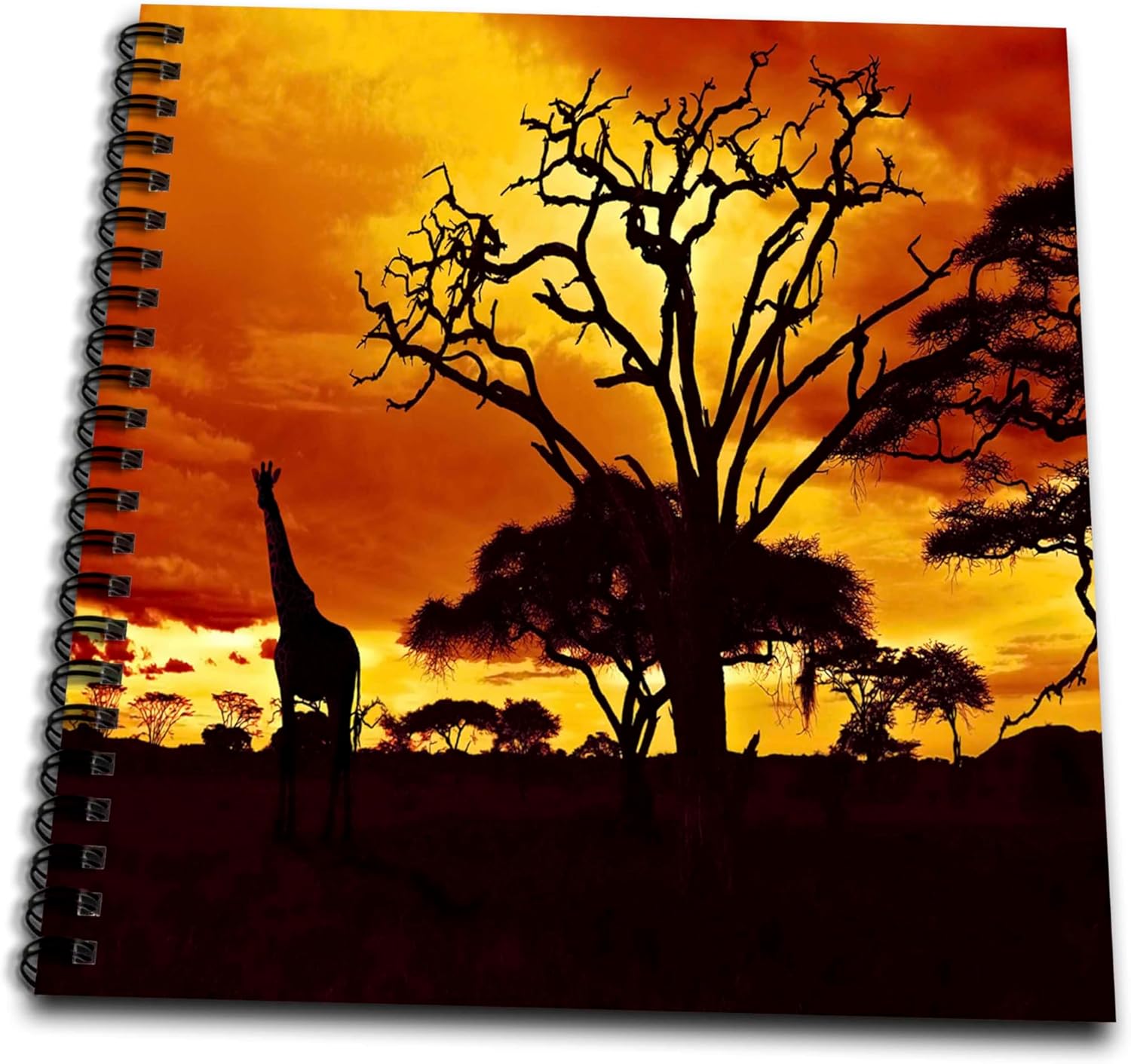 3dRose db_173293_2 African Giraffe on African Plains at Sunset, Animal Safari Africa-Memory Book, 12 by 12-Inch