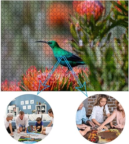 Miniatura 3 de Rompecabezas de 1000 piezas para adultos y niños  Malaquita Sunbird Nectarinia famosa Sentado Naranja Alfiletero Protea Grandes Piezas de