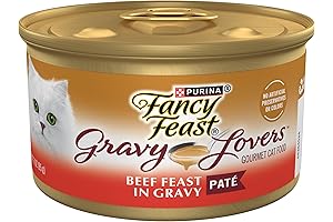 Purina Fancy Feast Gravy Lovers: A Decadent Culinary Delight for Your Feline Companion