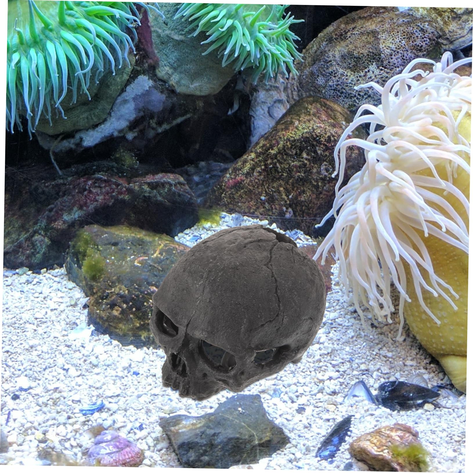 4 Pièces Ornement Crâne Résine pour Aquarium Décoration de Réservoir Abri pour Reptiles Poissons Design Élégant pour Décorations de Bureau