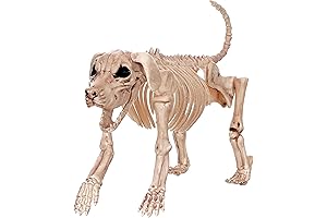 Crazy Bonez Dog: The Ultimate Bite-Proof Chew Toy for Aggressive Chewers