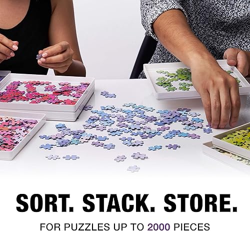 Vista 17 de 8 bandejas de clasificación de rompecabezas negras con tapa de 10 x 10 pulgadas Organizadores de rompecabezas y almacenamiento para rompecabezas