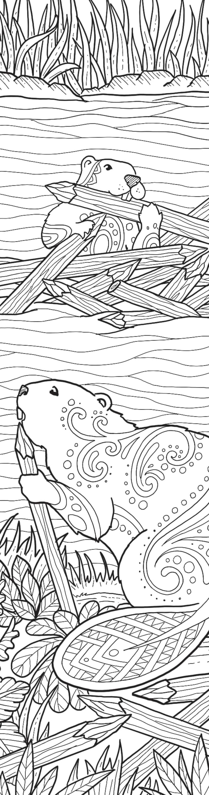 Animals Coloring Bookmarks