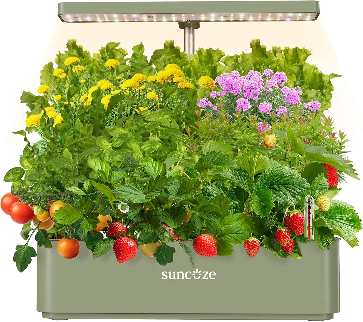 Sistema de cultivo hidropónico, jardín interior compacto de 12 cápsulas, verde | Luz LED de cultivo regulable de 24W, tanque de agua de 4L con bomba silenciosa, kit de interior para macetero de jardín de hierbas de altura ajustable, regalos de jardinería