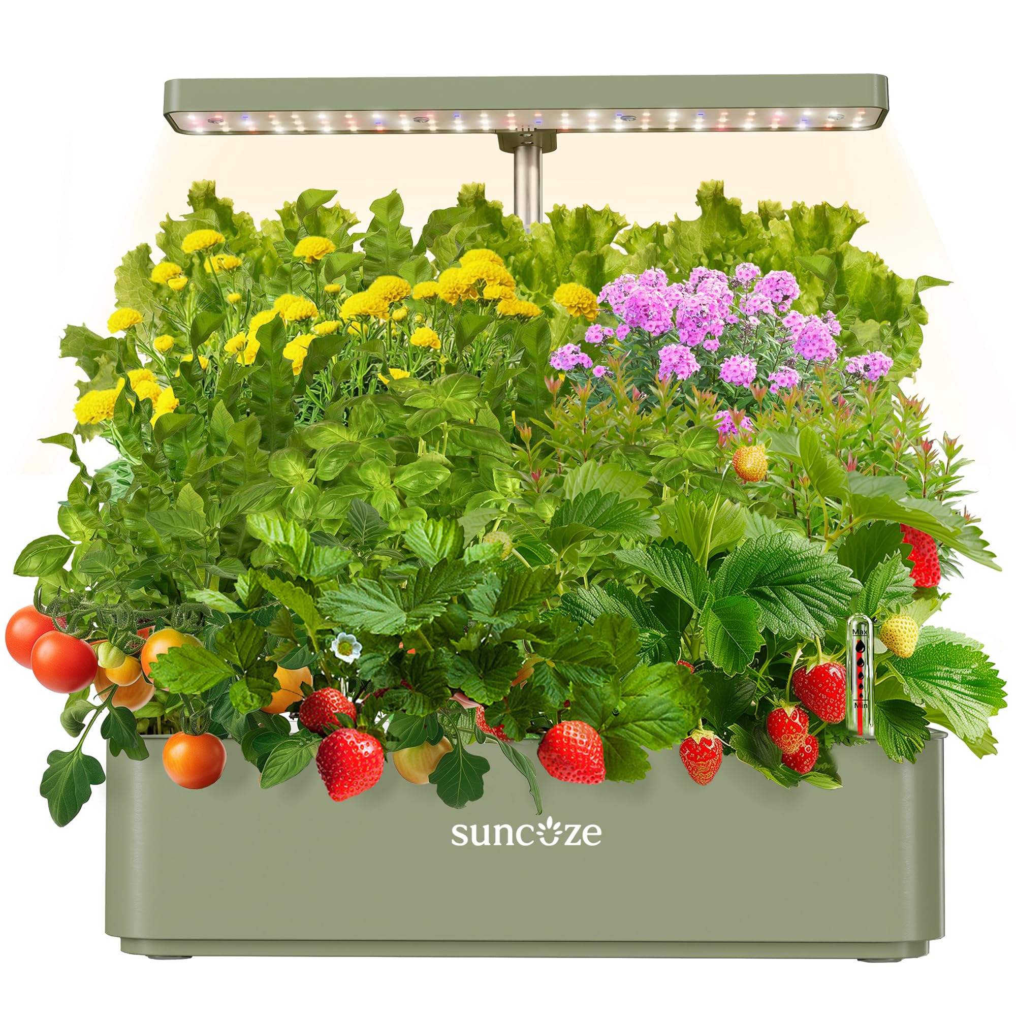 SUNCOZE 12-Pod Hydroponics Kit