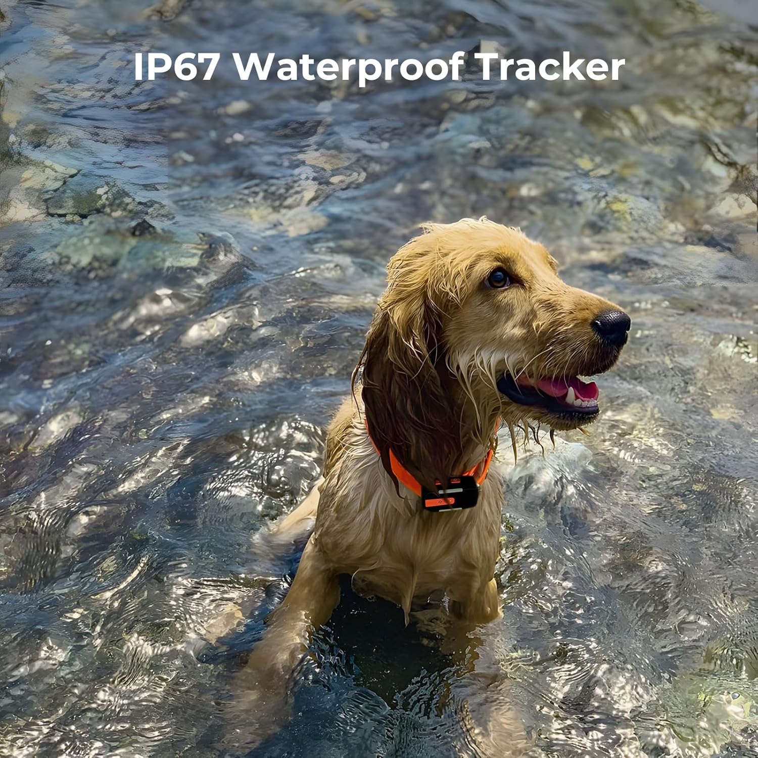 No Monthly Fee GPS Dog Tracker for Medium & Large Dogs, Off-Grid with No Cell Service, 3-Level Virtual Fence, Up to 7-Day Tracker Battery, IP67 Waterproof, Reflective Collar, Remote Light & Sound