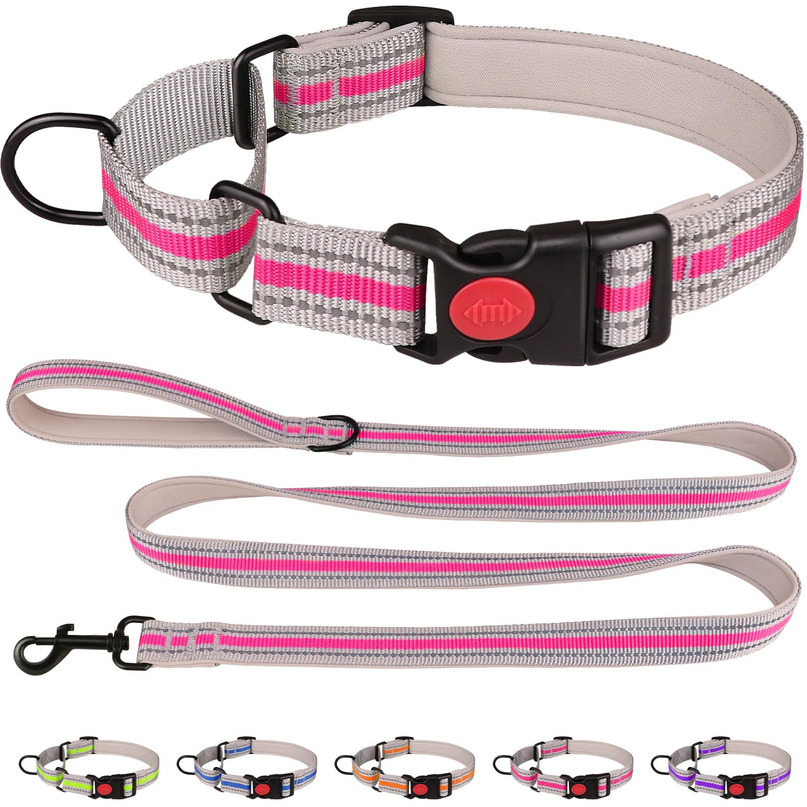 Martingale Collar for Dogs,Soft Neoprene Padded Reflective Martingale Collar and Leash Set Safety Buckle Nylon Martingale Collar for Small Dogs(