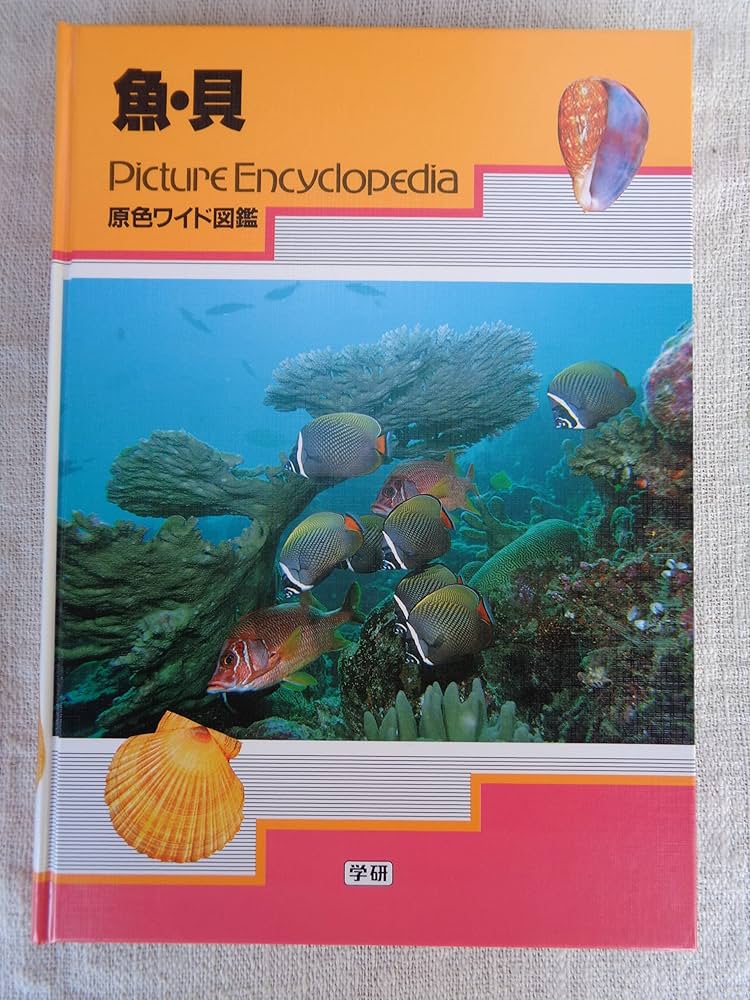珊瑚礁の魚 (1975年) 魚・貝 (原色ワイド図鑑) | 落合明, 波部忠重 |本 | 通販 | Amazon