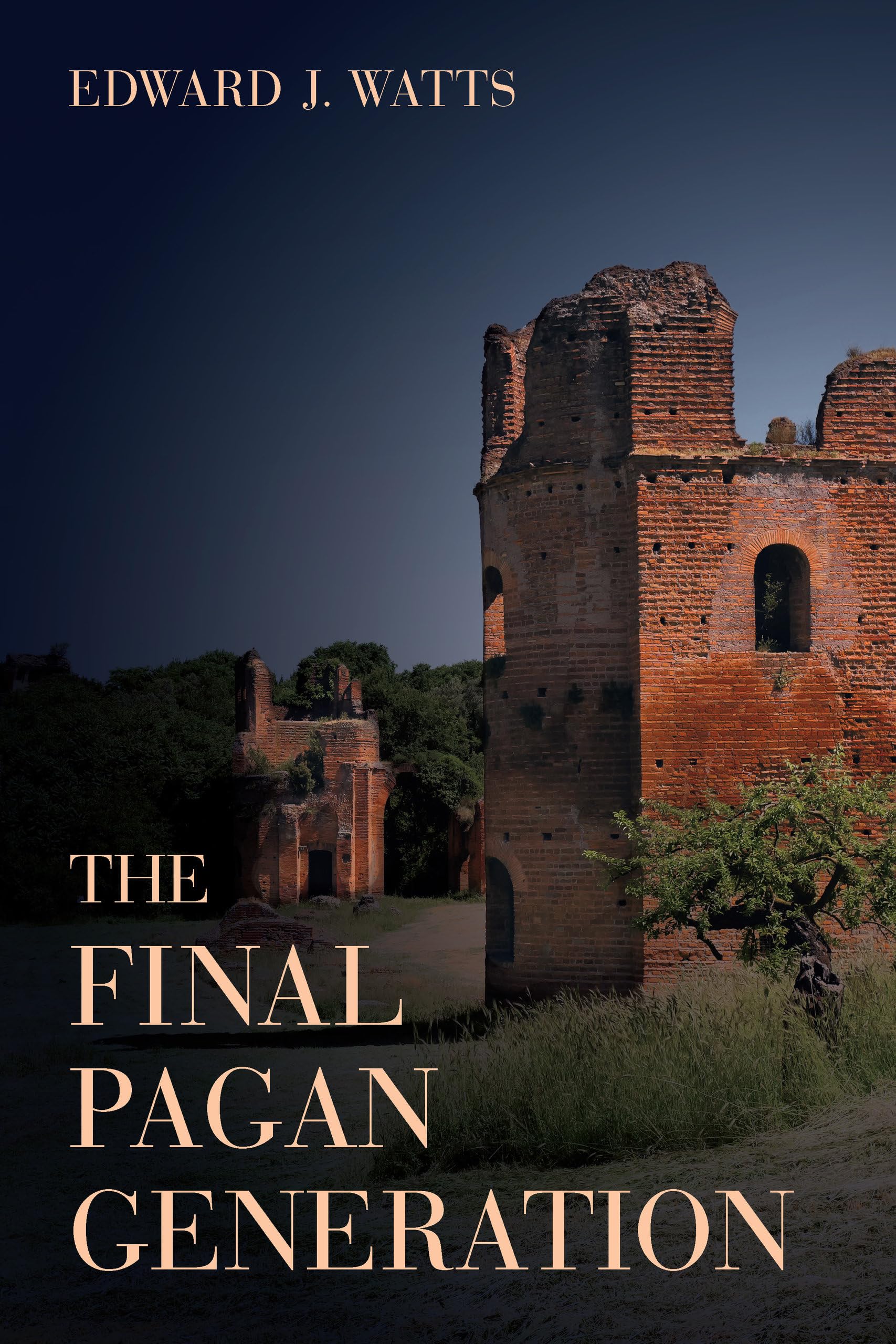 Final Pagan Generation: Rome's Unexpected Path to Christianity (Transformation of the Classical Heritage) (Volume 53)