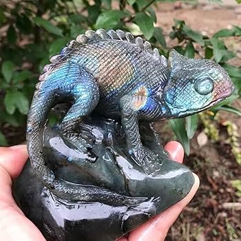 天然石　高品質　アマゾナイト トカゲ　原石　手彫り置物　 綺麗　大きい 81FT315IrFL._UF350,350_QL80_.jpg